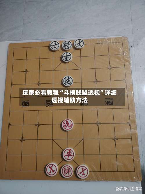 玩家必看教程“斗棋联盟透视”详细透视辅助方法-第2张图片