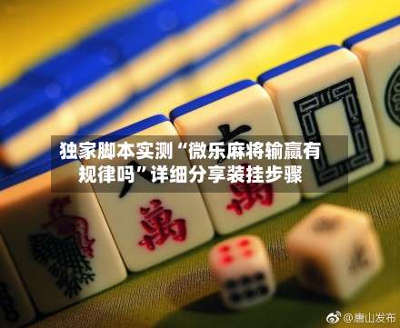 独家脚本实测“微乐麻将输赢有规律吗”详细分享装挂步骤-第1张图片