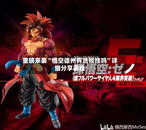 重磅来袭“悟空德州有透视挂吗”详细分享装挂-第2张图片