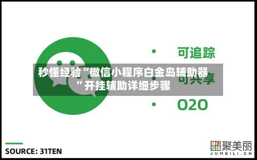 秒懂经验“微信小程序白金岛辅助器”开挂辅助详细步骤-第1张图片