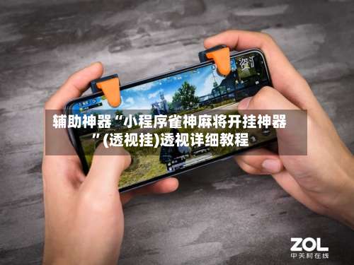 辅助神器“小程序雀神麻将开挂神器”(透视挂)透视详细教程-第2张图片