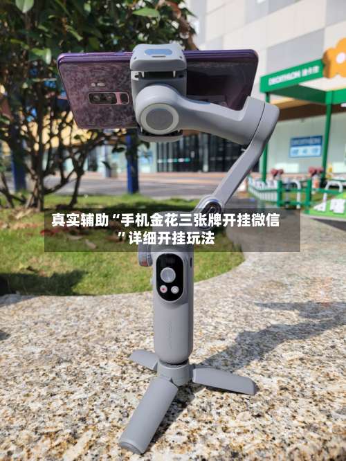 真实辅助“手机金花三张牌开挂微信”详细开挂玩法-第1张图片