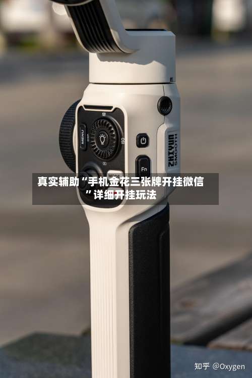 真实辅助“手机金花三张牌开挂微信	”详细开挂玩法-第2张图片