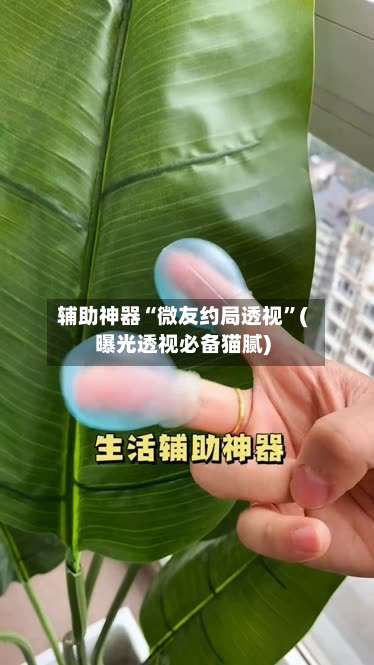 辅助神器“微友约局透视	”(曝光透视必备猫腻)-第1张图片