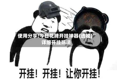 使用分享!今日花牌开挂神器(透视)”详细开挂玩法-第2张图片