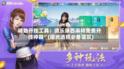 辅助开挂工具：微乐陕西麻将免费开挂神器”(曝光透视必备猫腻)-第2张图片