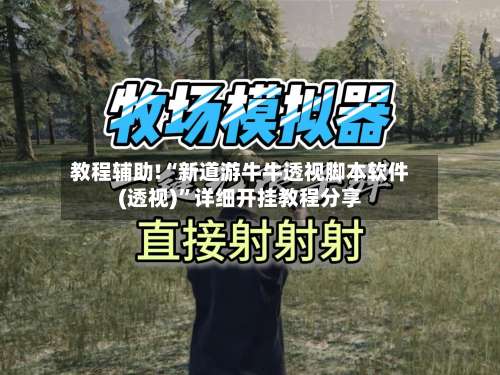 教程辅助!“新道游牛牛透视脚本软件(透视)”详细开挂教程分享-第2张图片