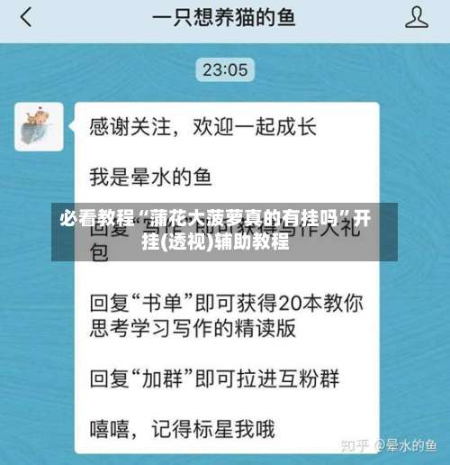 必看教程“蒲花大菠萝真的有挂吗”开挂(透视)辅助教程-第2张图片