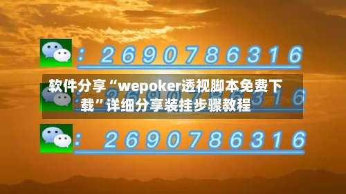 软件分享“wepoker透视脚本免费下载”详细分享装挂步骤教程-第2张图片