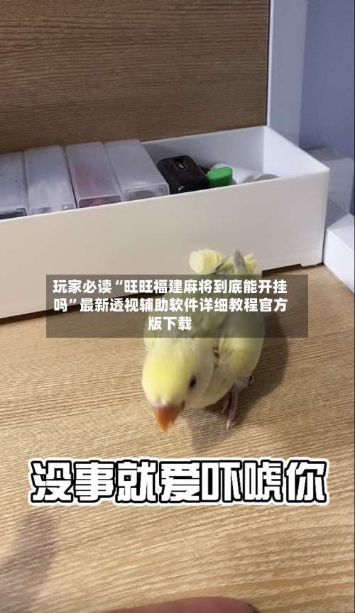 玩家必读“旺旺福建麻将到底能开挂吗”最新透视辅助软件详细教程官方版下载-第1张图片