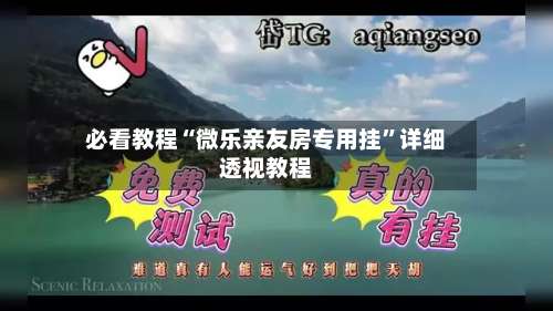 必看教程“微乐亲友房专用挂	”详细透视教程-第1张图片