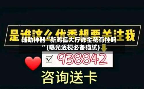 辅助神器“新鸿狐大厅炸金花有挂吗”(曝光透视必备猫腻)-第3张图片