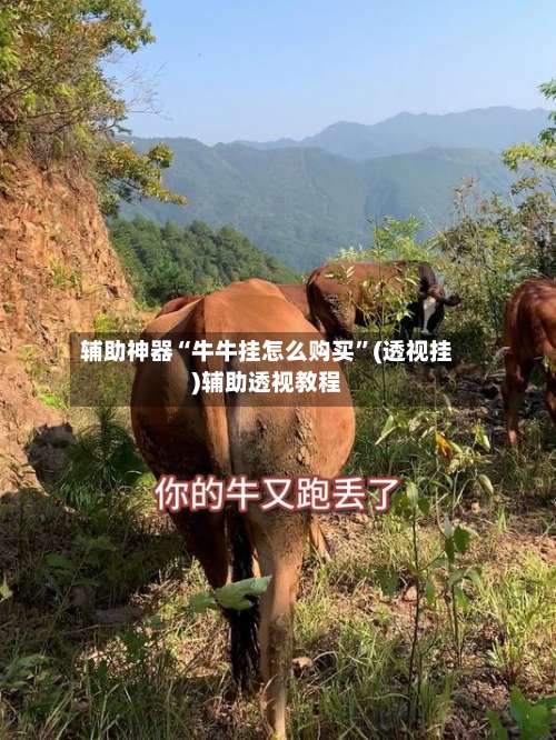 辅助神器“牛牛挂怎么购买	”(透视挂)辅助透视教程-第2张图片