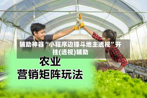 辅助神器“小程序边锋斗地主透视”开挂(透视)辅助-第1张图片