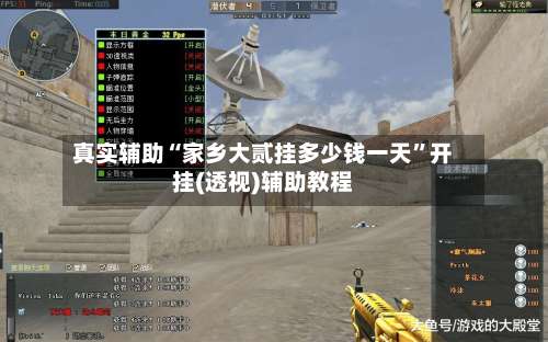 真实辅助“家乡大贰挂多少钱一天”开挂(透视)辅助教程-第1张图片