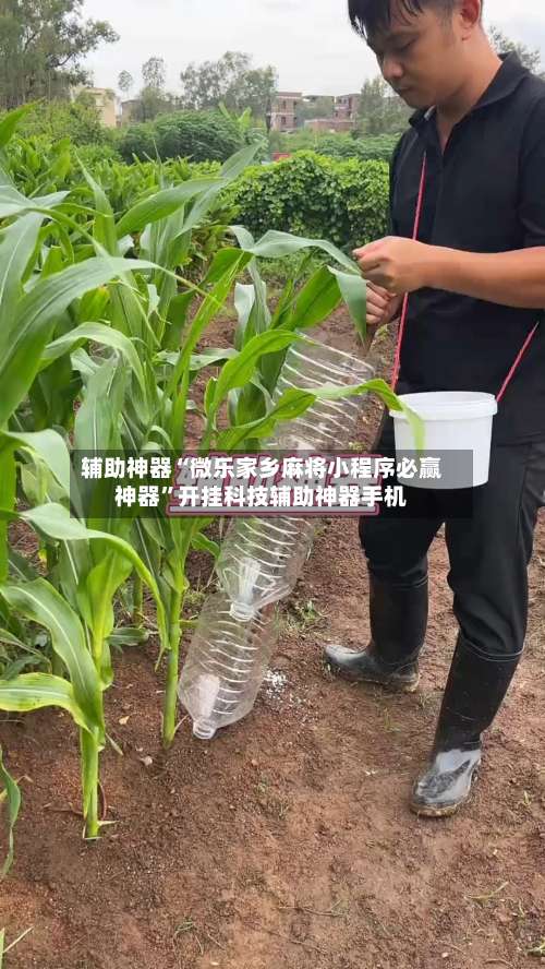 辅助神器“微乐家乡麻将小程序必赢神器	”开挂科技辅助神器手机-第1张图片