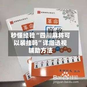 秒懂经验“四川麻将可以装挂吗”详细透视辅助方法-第2张图片