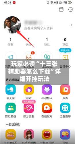 玩家必读“十三张辅助器怎么下载”详细开挂玩法-第1张图片