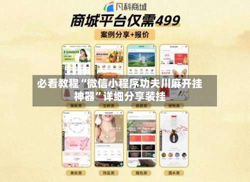 必看教程“微信小程序功夫川麻开挂神器	”详细分享装挂-第2张图片