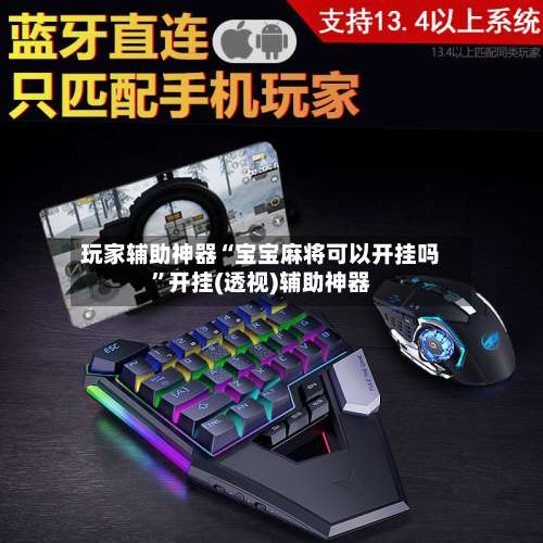 玩家辅助神器“宝宝麻将可以开挂吗	”开挂(透视)辅助神器-第1张图片