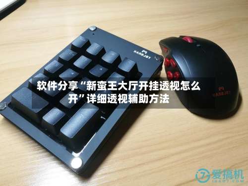 软件分享“新蛮王大厅开挂透视怎么开”详细透视辅助方法-第2张图片