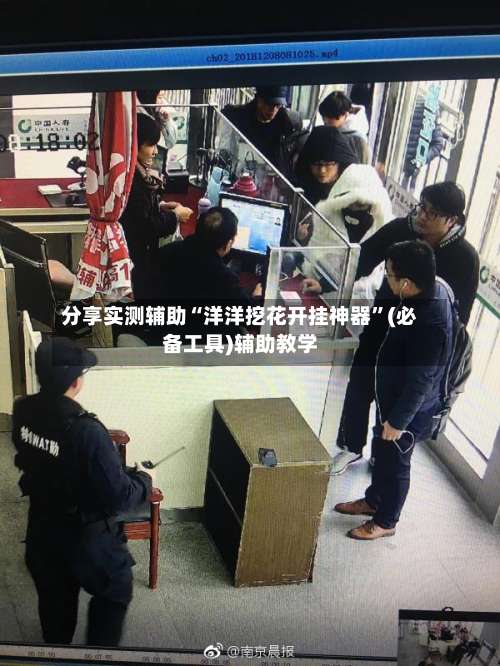 分享实测辅助“洋洋挖花开挂神器”(必备工具)辅助教学-第1张图片