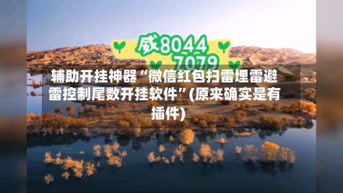 辅助开挂神器“微信红包扫雷埋雷避雷控制尾数开挂软件	”(原来确实是有插件)-第1张图片