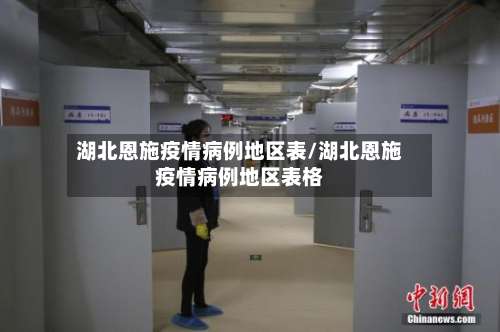 湖北恩施疫情病例地区表/湖北恩施疫情病例地区表格-第3张图片