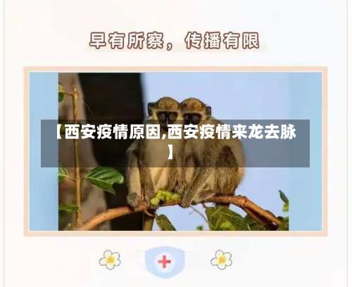 【西安疫情原因,西安疫情来龙去脉】-第1张图片