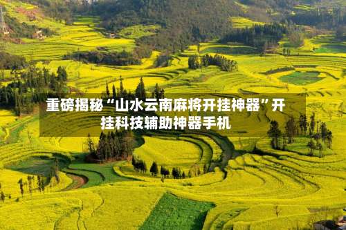 重磅揭秘“山水云南麻将开挂神器	”开挂科技辅助神器手机-第2张图片