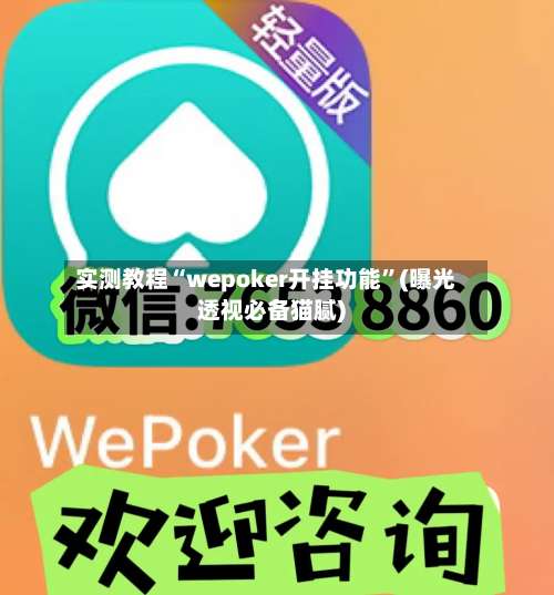 实测教程“wepoker开挂功能	”(曝光透视必备猫腻)-第1张图片