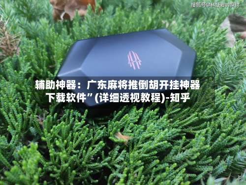 辅助神器：广东麻将推倒胡开挂神器下载软件	”(详细透视教程)-知乎-第1张图片