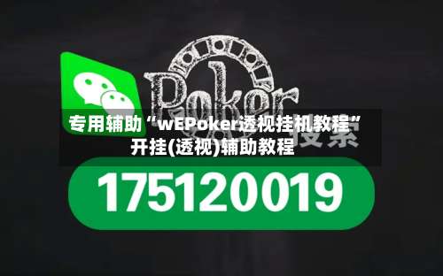 专用辅助“wEPoker透视挂机教程”开挂(透视)辅助教程-第3张图片