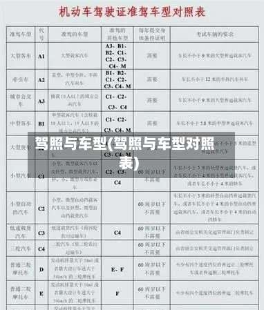 驾照与车型(驾照与车型对照表)-第2张图片