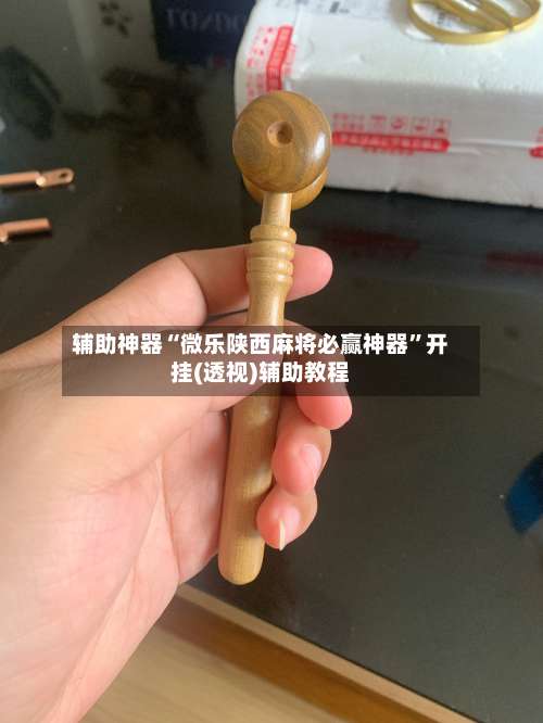 辅助神器“微乐陕西麻将必赢神器	”开挂(透视)辅助教程-第1张图片
