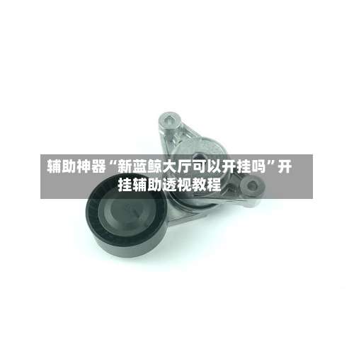 辅助神器“新蓝鲸大厅可以开挂吗	”开挂辅助透视教程-第1张图片