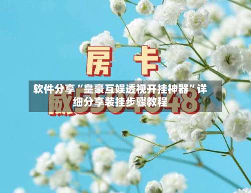 软件分享“皇豪互娱透视开挂神器”详细分享装挂步骤教程-第2张图片