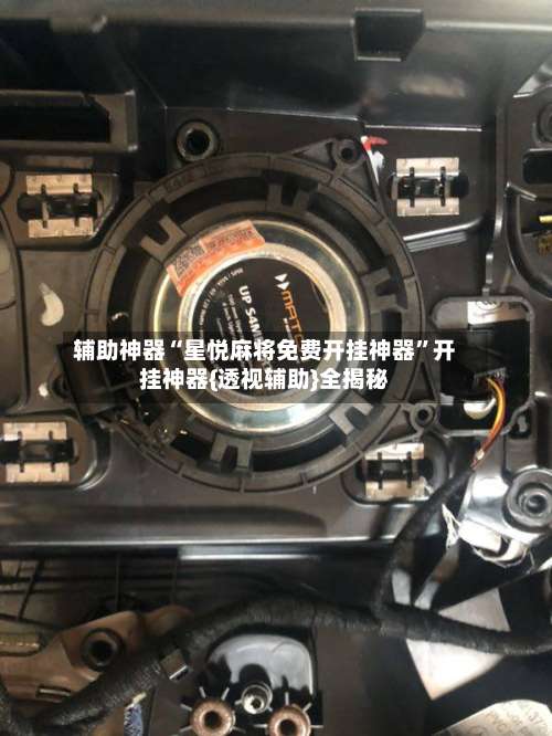 辅助神器“星悦麻将免费开挂神器”开挂神器{透视辅助}全揭秘-第1张图片