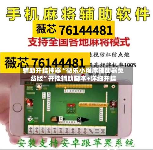 辅助开挂神器“微乐小程序辅助器免费版”开挂辅助脚本+详细开挂-第2张图片