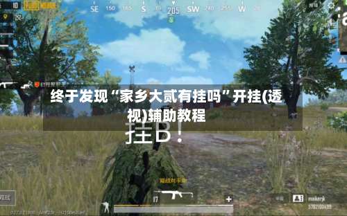 终于发现“家乡大贰有挂吗”开挂(透视)辅助教程-第2张图片