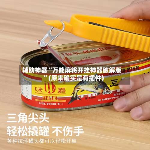 辅助神器“万能麻将开挂神器破解版	”(原来确实是有插件)-第1张图片