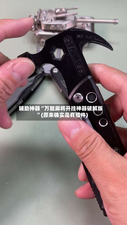 辅助神器“万能麻将开挂神器破解版	”(原来确实是有插件)-第2张图片