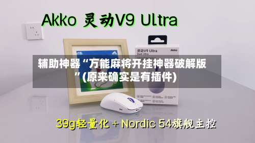 辅助神器“万能麻将开挂神器破解版	”(原来确实是有插件)-第3张图片
