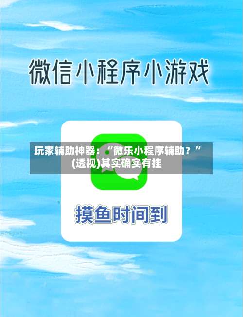 玩家辅助神器：“微乐小程序辅助？	”(透视)其实确实有挂-第1张图片