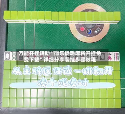 万能开挂辅助“微乐捉鸡麻将开挂免费下载”详细分享装挂步骤教程-第1张图片