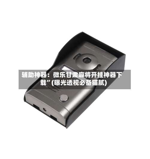 辅助神器：微乐甘肃麻将开挂神器下载”(曝光透视必备猫腻)-第3张图片