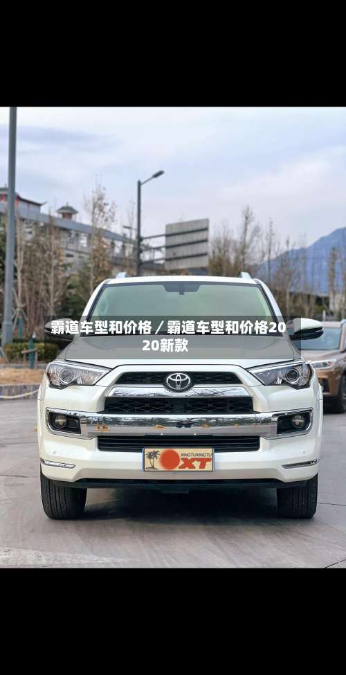 霸道车型和价格／霸道车型和价格2020新款-第2张图片