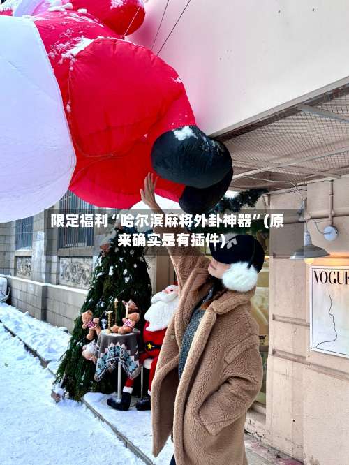 限定福利“哈尔滨麻将外卦神器	”(原来确实是有插件)-第1张图片