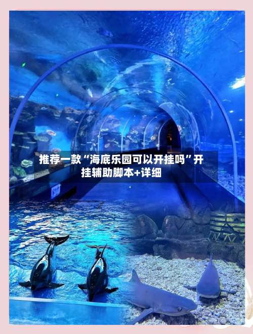 推荐一款“海底乐园可以开挂吗”开挂辅助脚本+详细-第2张图片