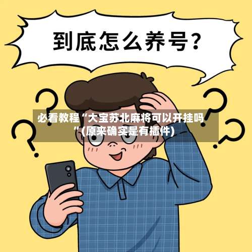 必看教程“大宝苏北麻将可以开挂吗”(原来确实是有插件)-第3张图片